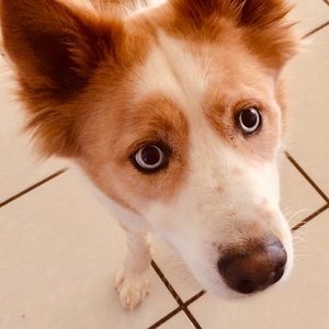 Meet your Posher, Maddy